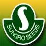 Sungro Seeds