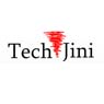 TechJini Solutions