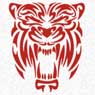 Tigers By Tribals