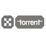 Torrent Pharmaceuticals Limited