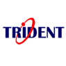 Trident Information Systems Pvt. Ltd