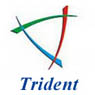 Trident Infosol Pvt Ltd