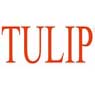 Tulip Telecom limited