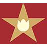 Tulip Star Hotels Ltd