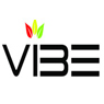 Vibe English Academy