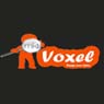 voxel info india pvt ltd