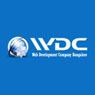 Web development company