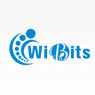 Wibits Web Solutions LLP	