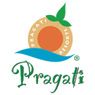 pragatiresorts.jpg