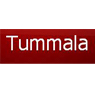 tummala_electronics.jpg