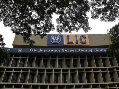 LIC to slow stock investments after bumper buy