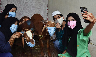 Tamil Nadu: Low-key Bakrid in amid Covid-19, festivities confined to home