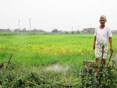 Rajasthan:7 lakh farmers to get insurance cover of Rs 6 lakh