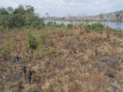 Amazon fires releasing CO2 stored in forests, impacting global climate: ESA