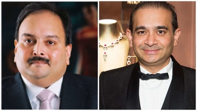 ED brings back polished diamonds, pearls worth Rs 1,350 cr belonging to Nirav Modi, Mehul Choksi firms from Hong Kong