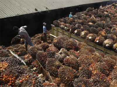 Experts see dip in palm oil imports from one-year high as prices jump