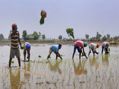 Agri minister Tomar asks states to speed up PM-KISAN scheme enrolment