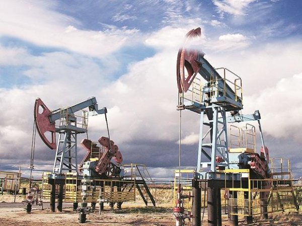 ONGC hits 52-week high, Oil India soars 5% amid jump in crude oil prices