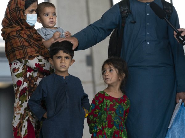 736 Afghans recorded for new registration in India from Aug 1 to Sep 11: UN