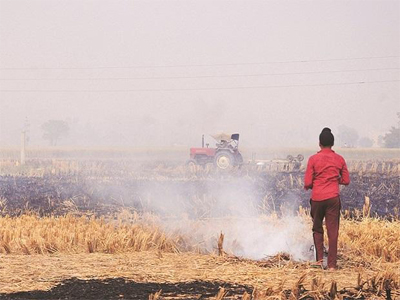 Punjab, Haryana announce Rs 2,500 an acre incentive to stop stubble burning