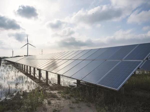 Tamil Nadu power utility signs deals for 2,900 MW power