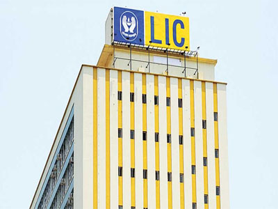 Hemant Bhargava appointed LIC interim chairman