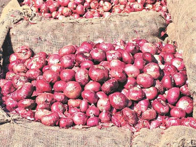 Centre halves onion stock holding limit for retailers as price keeps rising