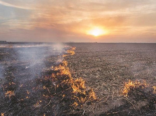 Delhi's air quality poor, stubble contribution in pollution may increase