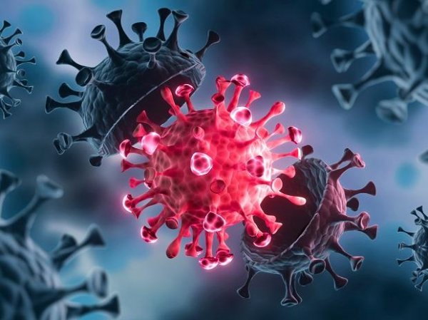 India reports 26,115 fresh Covid-19 cases, 252 additional deaths