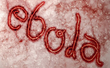 Mali doctor dies of Ebola, taking toll up to seven