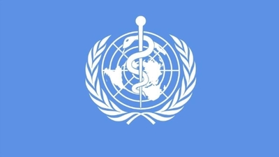 Looking for new donors, improve quality of funding: WHO chief