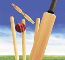 Maruti, Lloyd Electric on board Cricket World Cup
