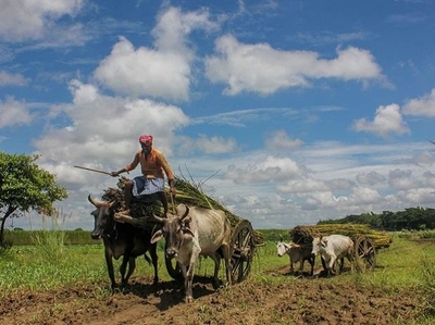 Centre pays Rs 50,850 crore to farmers under PM-KISAN scheme