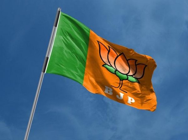 TN BJP promises Rs 6,000 for fishers, crop loan at 0 per cent in manifesto