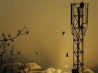 Airtel, Vodafone, Idea caused Rs 400-crore loss to govt, alleges Jio