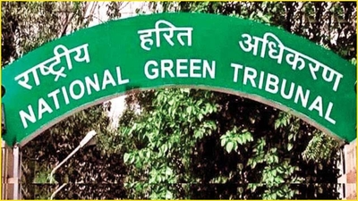 National Green Tribunal office sealed after employee tests positive for COVID-19