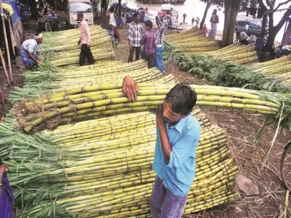 Sugar stocks extend fall, slip up to 9% as government restricts exports