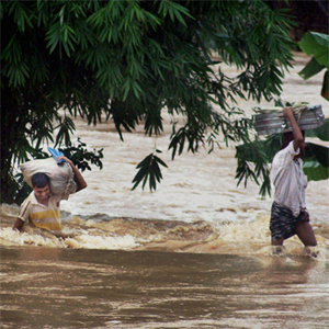 Water levels recede in Assam and Meghalaya, death toll rises to 71