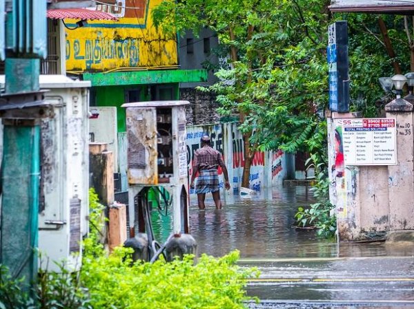 Cyclone Nivar crosses TN, Puducherry, felling trees, disrupting power