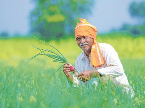 This agrochemicals stock has zoomed 58% in four trading days in weak market