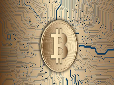 Govt favours a ban on cryptocurrencies to protect investors