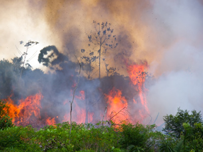 Amazon is still on fire: 4 essential reads on Brazil's vanishing rainforest