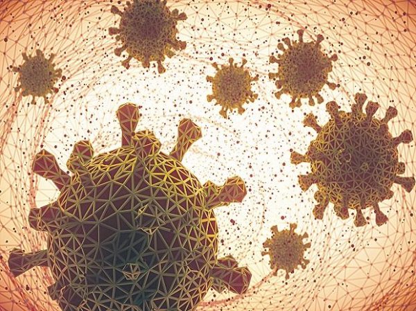 Covid virus expected to continue to transmit for a very long time: WHO