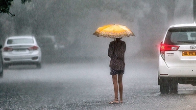 Light rains in Delhi, UP, Haryana to bring slight relief from heatwave: IMD
