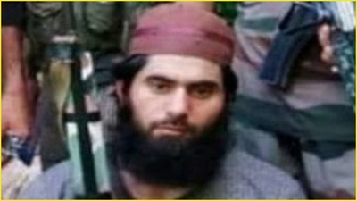 Doda becomes 'terrorist-free' after last surviving Hizbul Mujahideen commander killed in Anantnag: J&K DGP