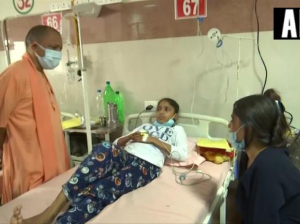 Death toll due to dengue climbs to 50 in UP's Firozabad: Official