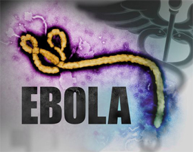 Over 20,000 people contracted Ebola in 2014: WHO