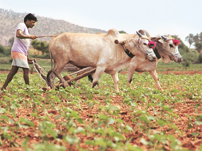 World Bank commits $100 million to boost Tamil Nadu's rural economy