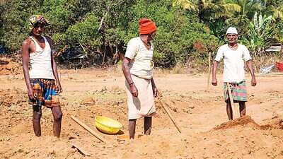 Rs 13,240 crore paid to migrant labourers under Garib Kalyan Rojgar Abhiyaan in 6 weeks: Govt