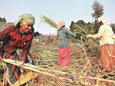 Sugar stocks in demand: Balrampur, EID Parry, Dwarikesh hit 52-week high